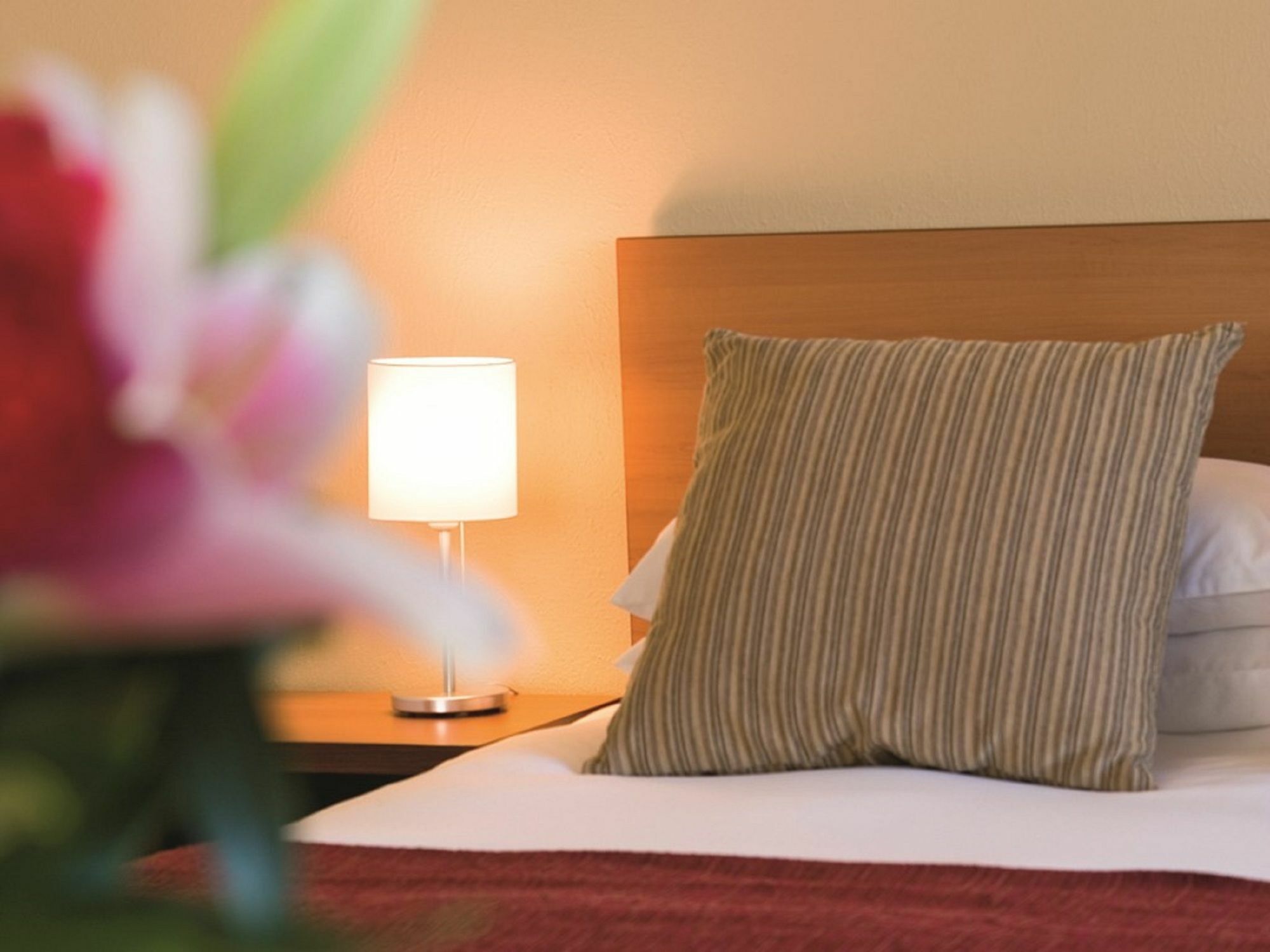 מלון Rydges ג'ילונג מראה חיצוני תמונה